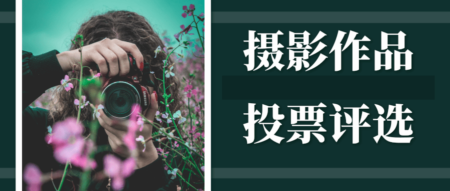 摄影作品评选