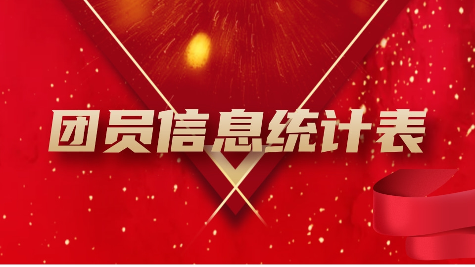 团员信息统计表