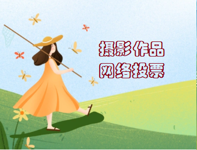 摄影作品网络投票