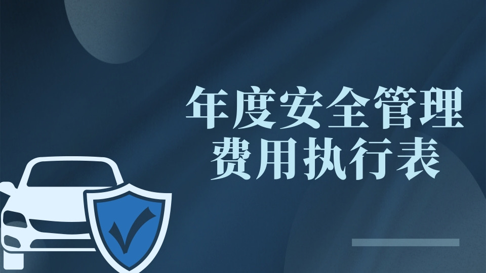 年度安全管理费用执行表