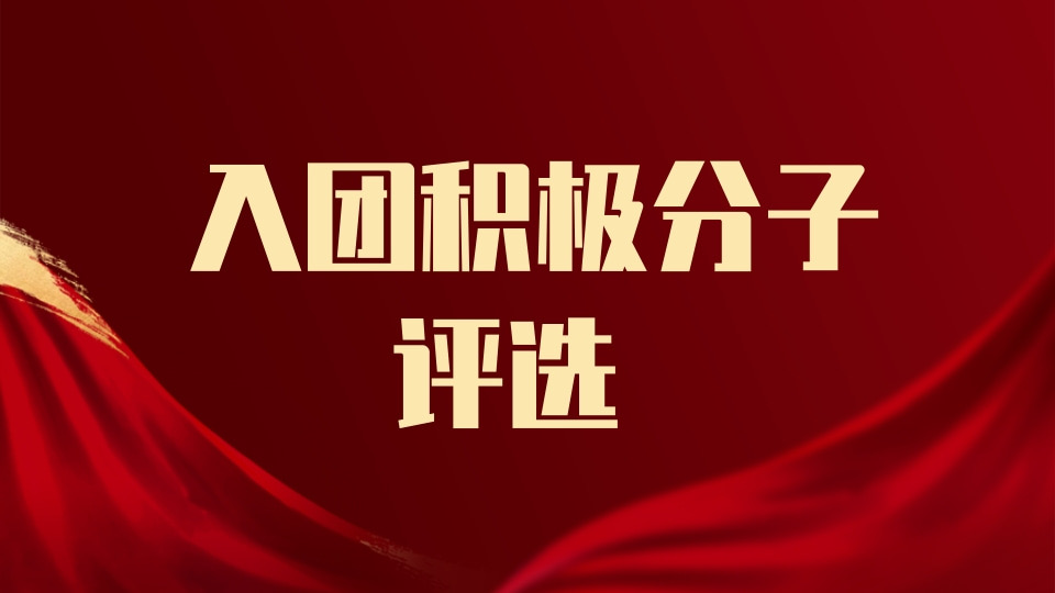 入团积极分子推优投票