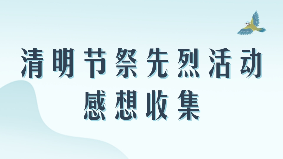 清明节祭先烈活动感想收集