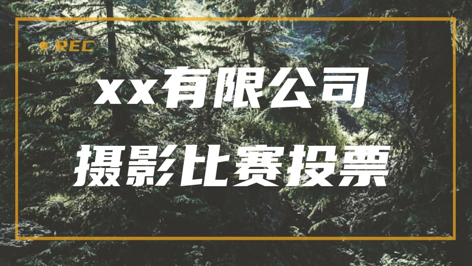xx公司摄影比赛投票