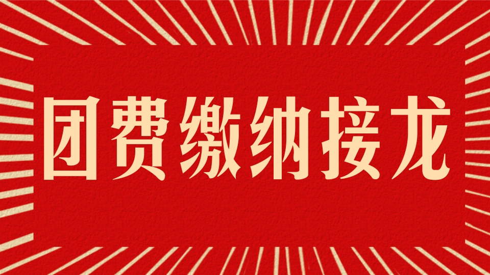 团费缴纳接龙