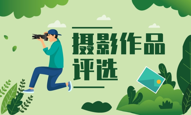 摄影作品评选