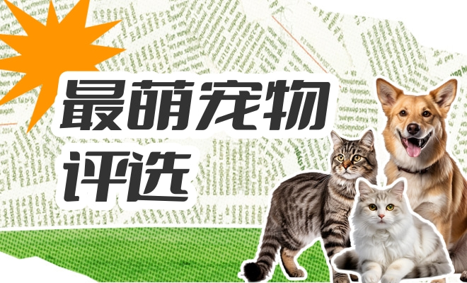 最萌宠物评选